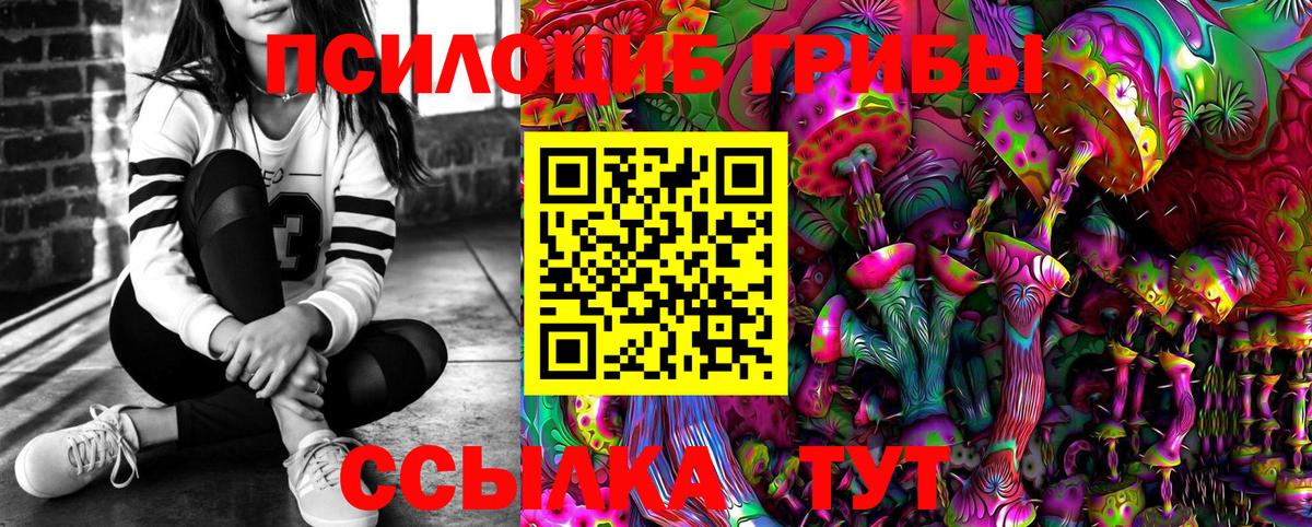 Галлюциногенные грибы Psilocybine cubensis Кропоткин