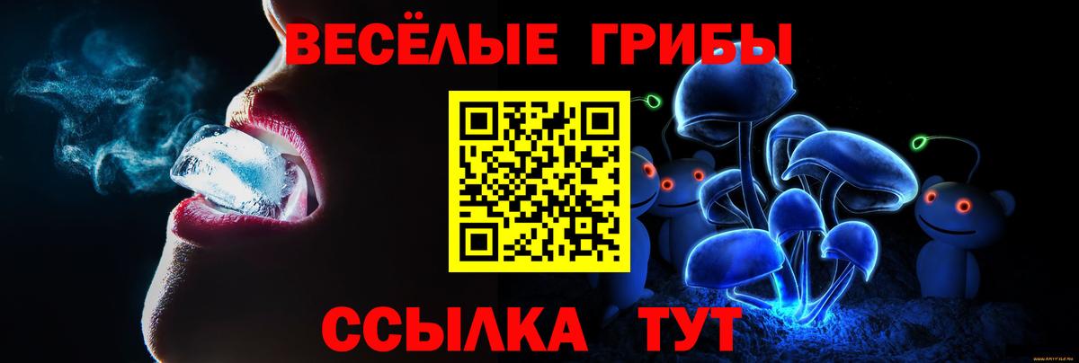 Кропоткин  Псилоцибиновые грибы Psilocybine cubensis  купить наркотик  Вход с VPN  Псилоцибиновые грибы Magic Shrooms 